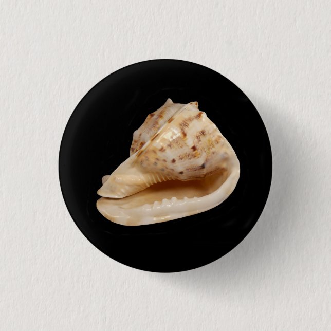 Conch Shell Badge 1 Inch Round Button (Front)