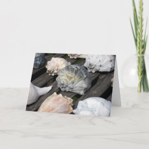 Conch Shell Birthday Card w Bible Verse
