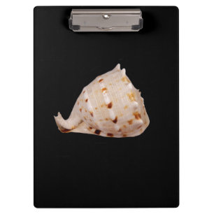 Conch Shell Clipboard