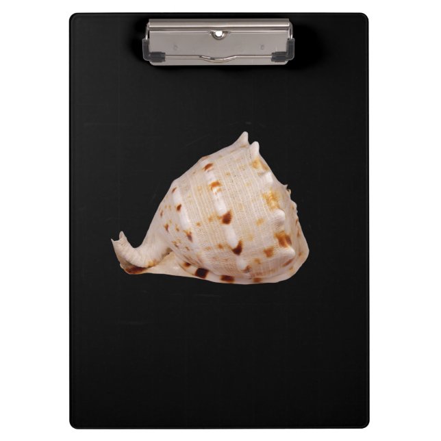 Conch Shell Clipboard (Front)