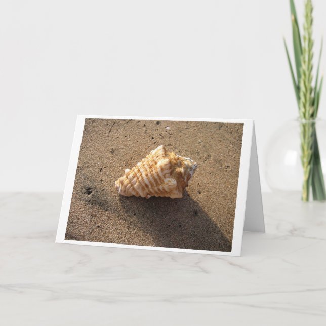 Conch Shell (Colour) Card (Front)