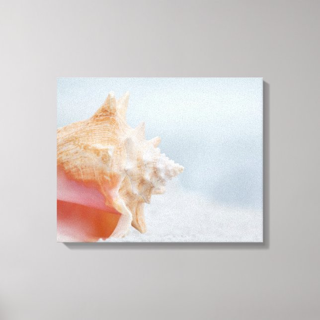 Conch Shell | Florida Canvas Print (Front)
