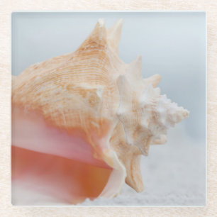 Conch Shell Florida Glass Coaster