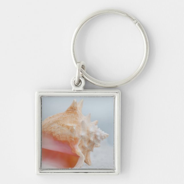 Conch Shell | Florida Keychain (Front)