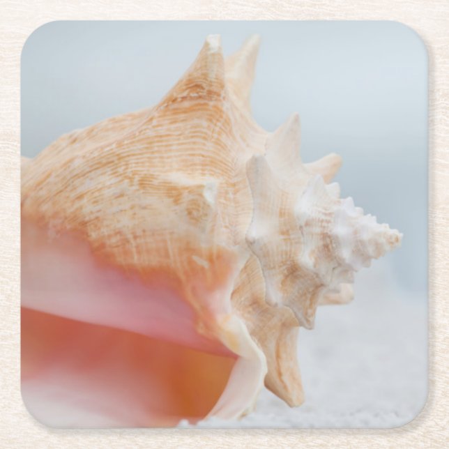Conch Shell | Florida Square Paper Coaster (Front)