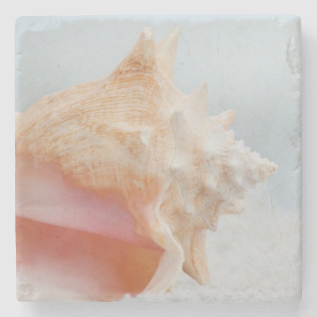 Conch Shell | Florida Stone Coaster (Front)