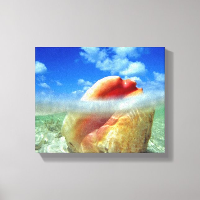 Conch Shell High Tide Canvas (Front)