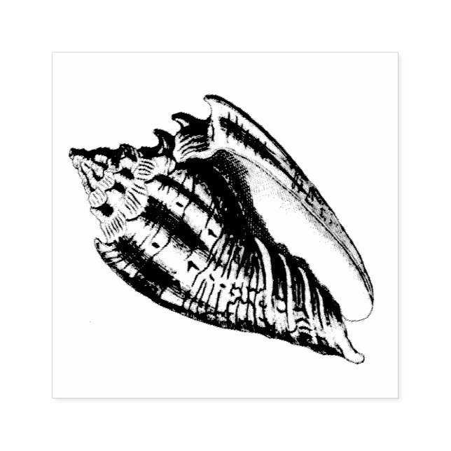 Conch Shell Illustration Rubber Stamp (Imprint)