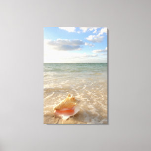 Conch Shell In Sand On Tropical Beach Canvas Print