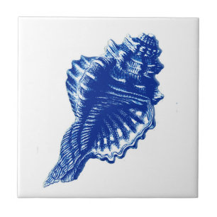 Conch Shell, Indigo Blue and White Tile