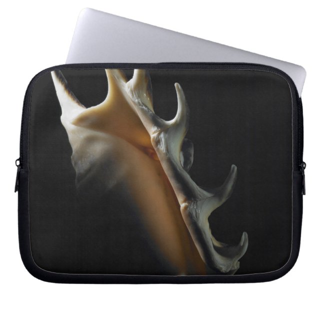 Conch shell laptop sleeve (Front)