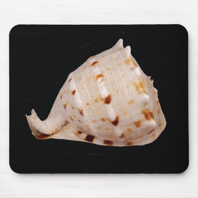 Conch Shell Mouse Mat (Front)