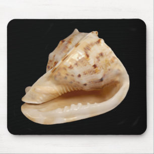 Conch Shell Mouse Mat