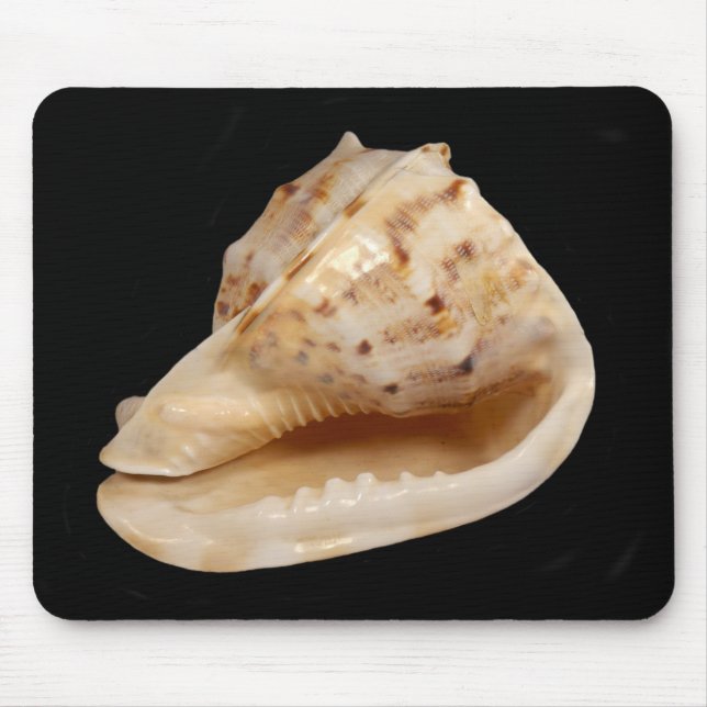 Conch Shell Mouse Mat (Front)