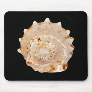 Conch Shell Mouse Mat
