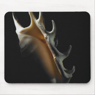 Conch shell mouse pad