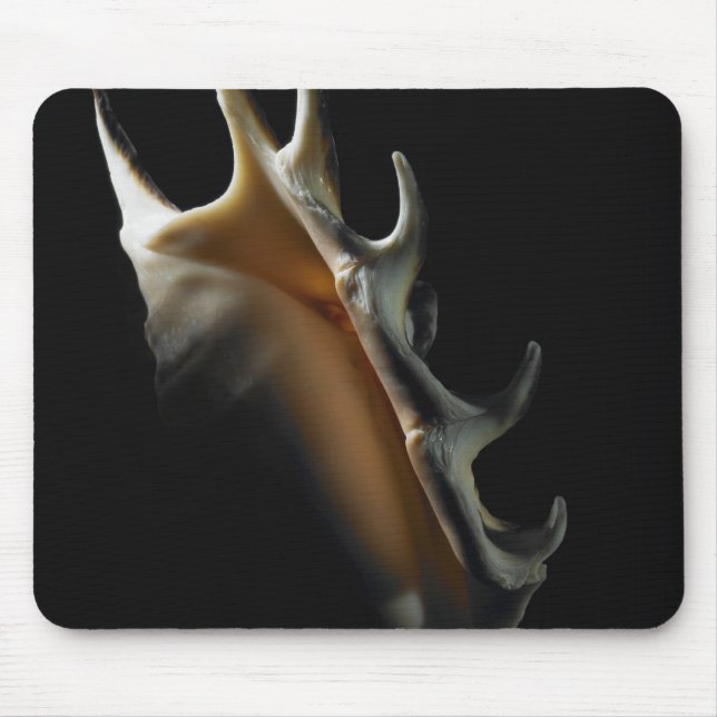 Conch shell mouse pad (Front)