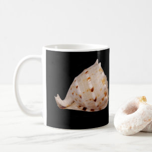 Conch Shell Mug