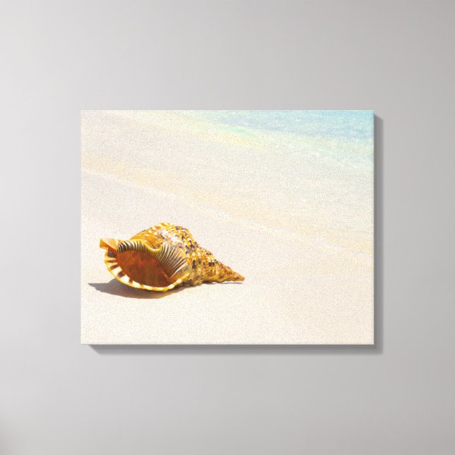 Conch Shell On Beach 3 Canvas Print (Front)