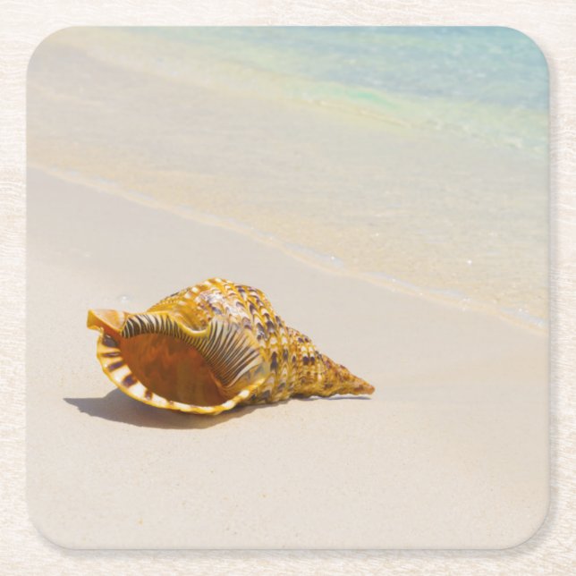 Conch Shell On Beach 3 Square Paper Coaster (Front)