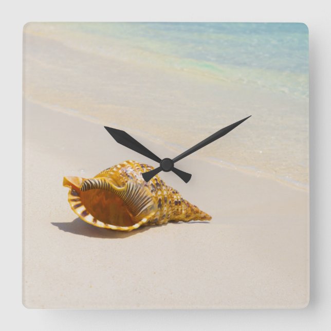 Conch Shell On Beach 3 Square Wall Clock (Front)