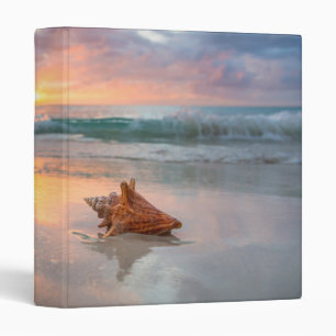 Conch Shell on the Beach Jamaica Binder