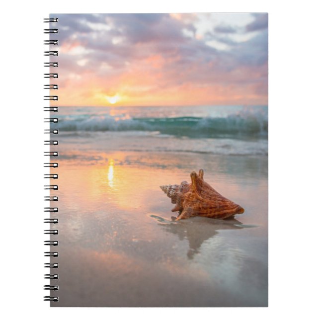 Conch Shell on the Beach | Jamaica Notebook (Front)