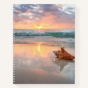 Conch Shell on the Beach   Jamaica Notebook