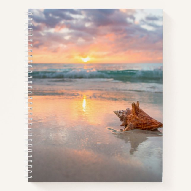 Conch Shell on the Beach | Jamaica Notebook (Front)
