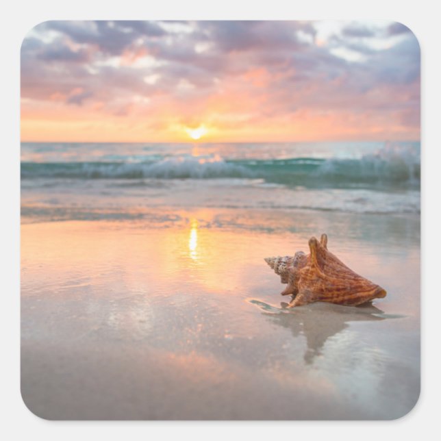 Conch Shell on the Beach | Jamaica Square Sticker (Front)