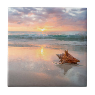 Conch Shell on the Beach Jamaica Tile
