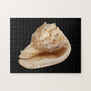 Conch Shell Photo Puzzle with Gift Box