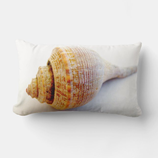 Conch Shell Pillow (Front)
