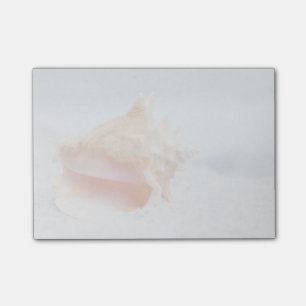 Conch Shell Post-it Notes