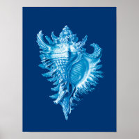 Conch Shell Sea Life Print, Indigo Blue and White