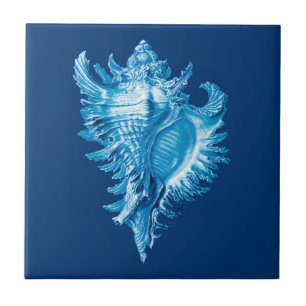 Conch Shell Sea Life Print, Indigo Blue and White Tile