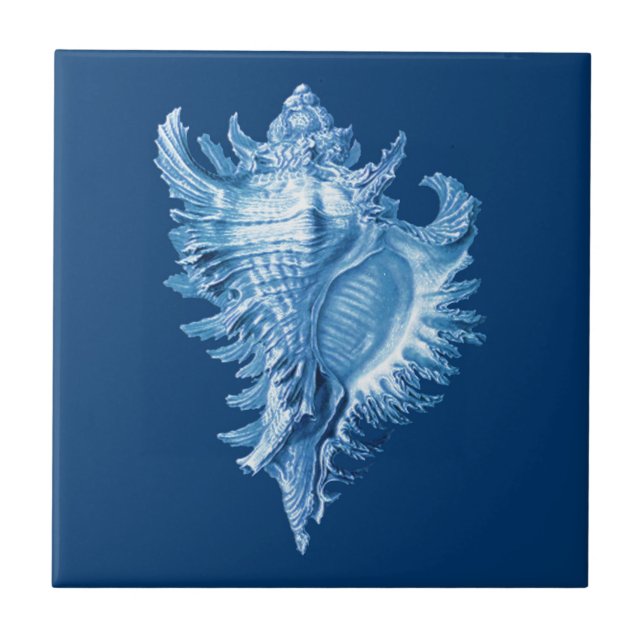 Conch Shell Sea Life Print, Indigo Blue and White Tile (Front)