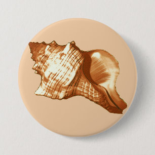 Conch shell sketch - brown, white and tan 3 inch round button