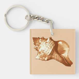 Conch shell sketch - brown, white and tan keychain