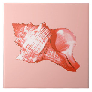 Conch shell sketch - coral, shell pink and white tile
