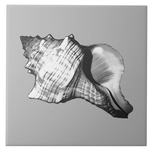 Conch shell sketch - shades of grey and white tile (Front)