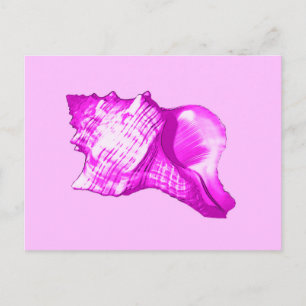 Conch shell sketch - shades of orchid and white postcard