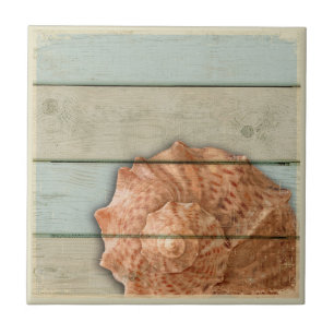 Conch Shell Tile