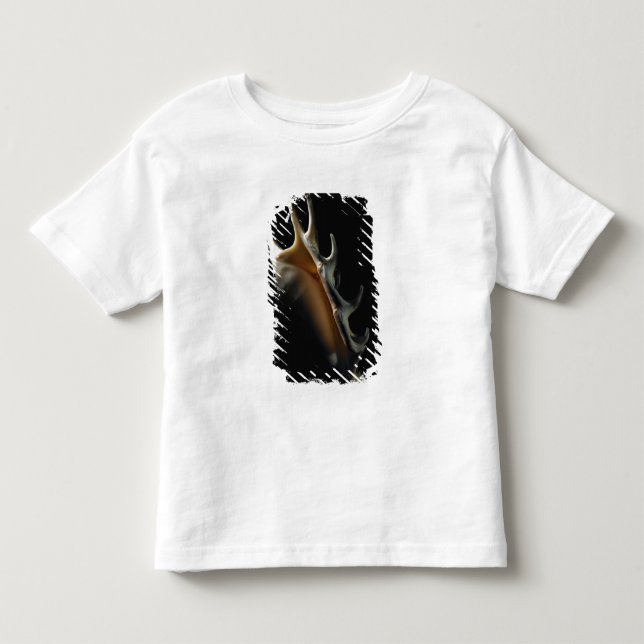 Conch shell toddler t-shirt (Front)
