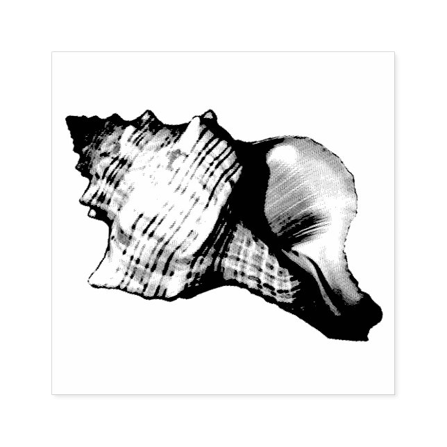Conch Shell Vintage Illustration Rubber Stamp (Imprint)