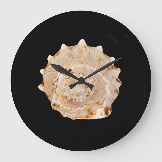 Conch Shell Wall Clock (Front)