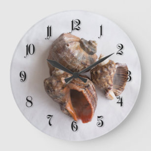Conch shells large clock