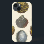Conchology Collection iPhone 13 Case<br><div class="desc">If you can't get to the beach today, get this classic style image of this unique image of sea life by Albertus Seba! Imagine yourself on a beach discovering Sea anemones that nature has to offer. These seashells and sea plants by the ocean is surrounded by warm sand in this...</div>