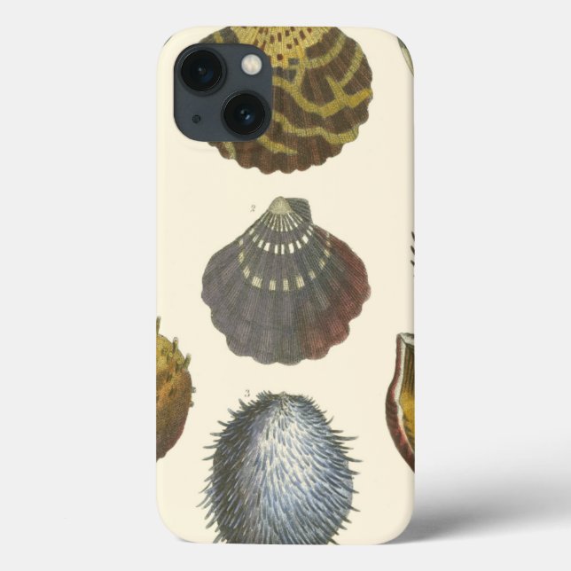 Conchology Collection Case-Mate iPhone Case (Back)