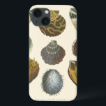 Conchology Collection iPhone 13 Case<br><div class="desc">If you can't get to the beach today, get this classic style image of this unique image of sea life by Albertus Seba! Imagine yourself on a beach discovering Sea anemones that nature has to offer. These seashells and sea plants by the ocean is surrounded by warm sand in this...</div>